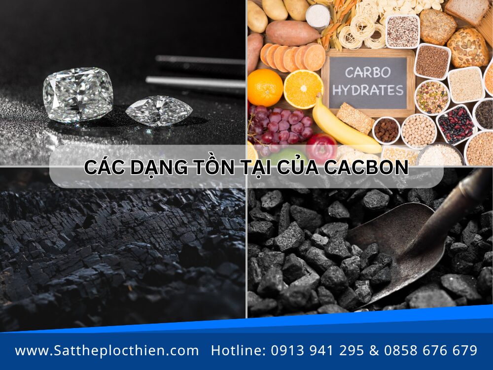 Các dạng tồn tại của Cacbon